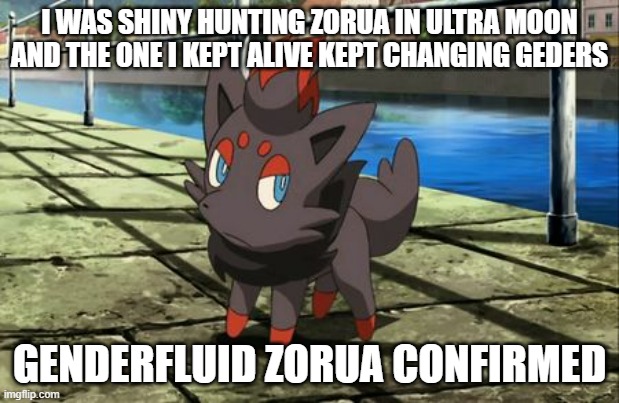 Unsure Zorua | I WAS SHINY HUNTING ZORUA IN ULTRA MOON AND THE ONE I KEPT ALIVE KEPT CHANGING GEDERS; GENDERFLUID ZORUA CONFIRMED | image tagged in unsure zorua | made w/ Imgflip meme maker