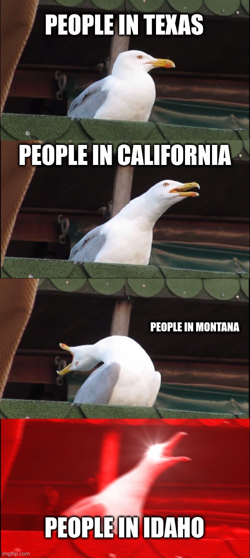Inhaling Seagull | PEOPLE IN TEXAS; PEOPLE IN CALIFORNIA; PEOPLE IN MONTANA; PEOPLE IN IDAHO | image tagged in memes,inhaling seagull | made w/ Imgflip meme maker