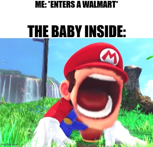 Clever Title | ME: *ENTERS A WALMART*; THE BABY INSIDE: | image tagged in mario screaming,babies,walmart,crying,baby | made w/ Imgflip meme maker