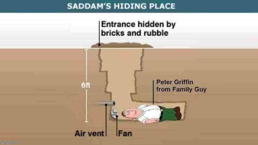 damn this hits | image tagged in funny,memes,peter griffin,family guy,family guy peter | made w/ Imgflip meme maker