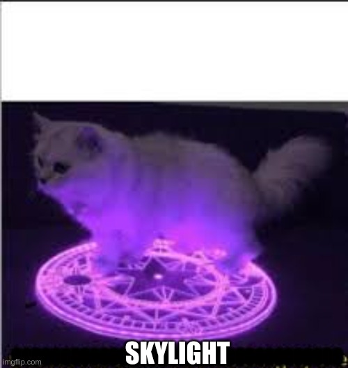 Skylight be like | SKYLIGHT; 0000000000000000000000000000000000 | image tagged in whomst has summoned the almighty one | made w/ Imgflip meme maker