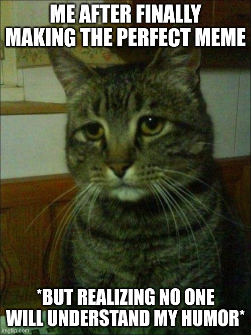 Depressed Cat | ME AFTER FINALLY MAKING THE PERFECT MEME; *BUT REALIZING NO ONE WILL UNDERSTAND MY HUMOR* | image tagged in memes,depressed cat | made w/ Imgflip meme maker