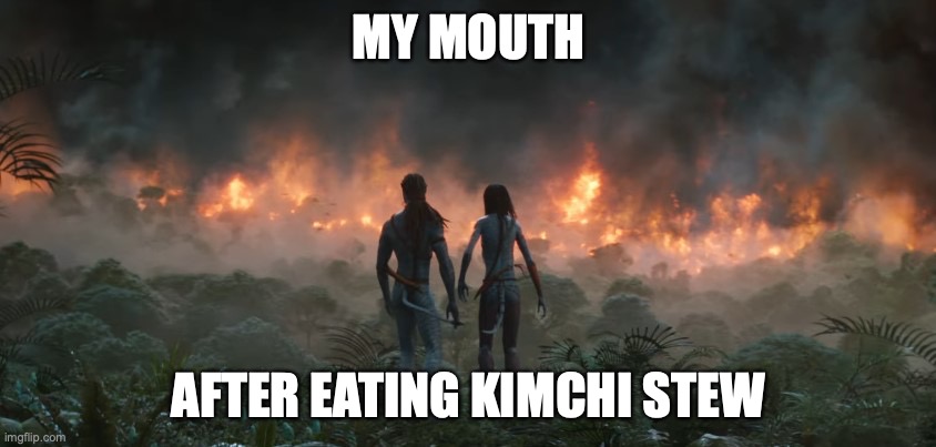 Kimchi stew spiciness | MY MOUTH; AFTER EATING KIMCHI STEW | image tagged in funny,funny memes,relatable | made w/ Imgflip meme maker