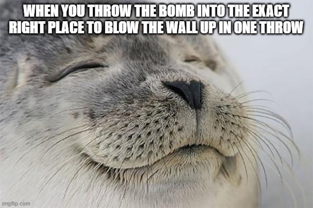 It's so satisfying | WHEN YOU THROW THE BOMB INTO THE EXACT RIGHT PLACE TO BLOW THE WALL UP IN ONE THROW | image tagged in memes,satisfied seal | made w/ Imgflip meme maker