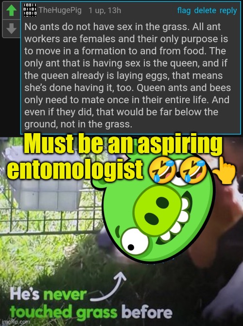 . | Must be an aspiring entomologist 🤣🤣👆 | image tagged in he's never touched grass before | made w/ Imgflip meme maker