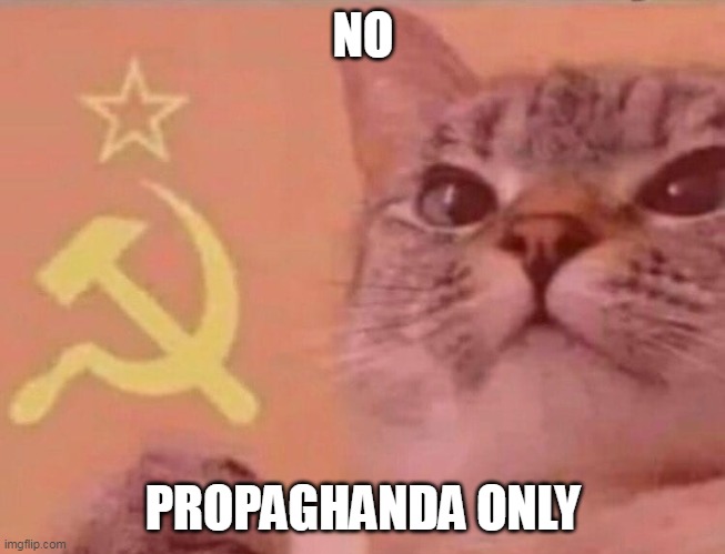 NO PROPAGHANDA ONLY | image tagged in communist cat | made w/ Imgflip meme maker