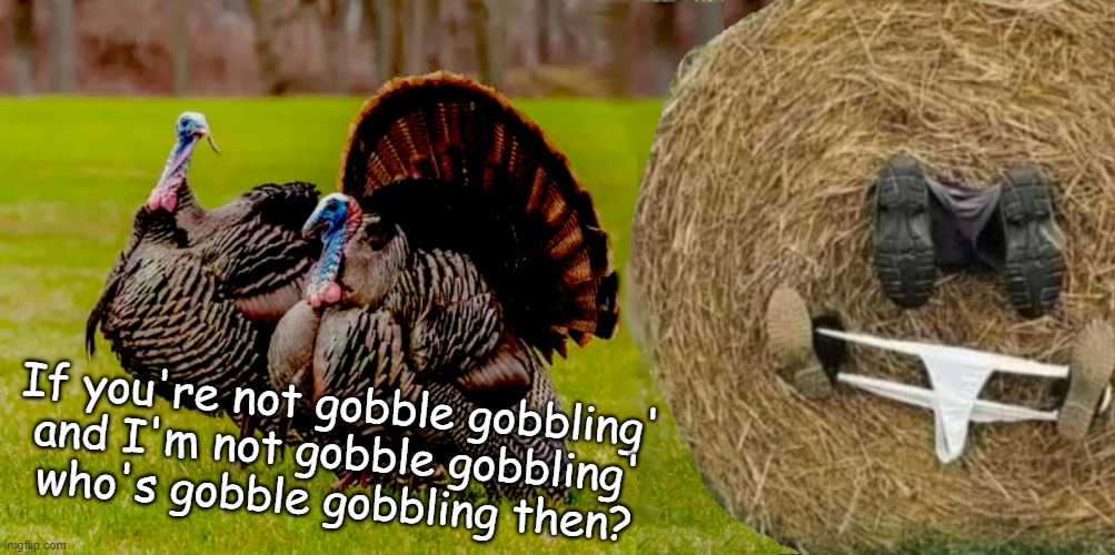 Gobble Gobbling | If you're not gobble gobbling'
and I'm not gobble gobbling'
who's gobble gobbling then? | image tagged in turkey,hayroll,licking | made w/ Imgflip meme maker