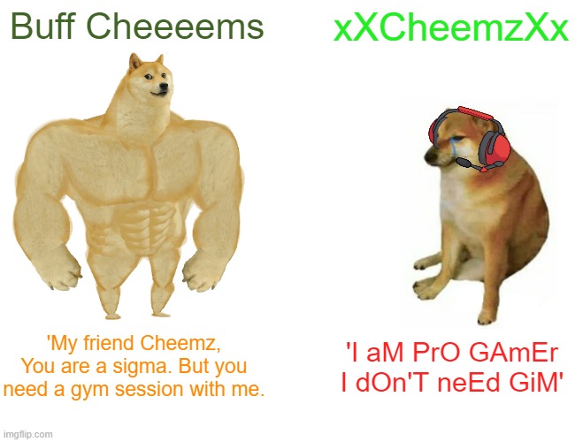Buff Cheeeems and his lil brother xXcheemzXx | Buff Cheeeems; xXCheemzXx; 'My friend Cheemz, You are a sigma. But you need a gym session with me. 'I aM PrO GAmEr I dOn'T neEd GiM' | image tagged in memes,cheems,doge | made w/ Imgflip meme maker