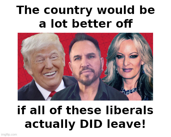 The Country Would Be Better Off! | image tagged in stormy daniels,husband,liberals,leave,donald trump,laughs | made w/ Imgflip meme maker