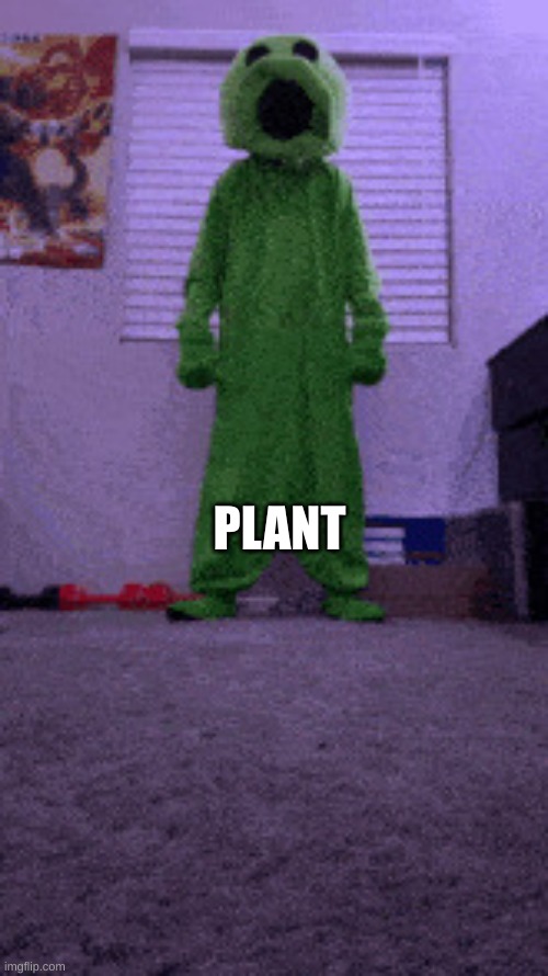 plant | PLANT | image tagged in plant,where are his pants | made w/ Imgflip meme maker
