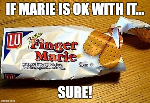 Marie Has to Be Ok With It | IF MARIE IS OK WITH IT... SURE! | image tagged in sex jokes | made w/ Imgflip meme maker