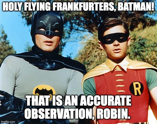 Holy Flying Frankfurters, Batman | HOLY FLYING FRANKFURTERS, BATMAN! THAT IS AN ACCURATE OBSERVATION, ROBIN. | image tagged in batman,batman and robin,frankfurter,hot dog,hot dogs,holy | made w/ Imgflip meme maker
