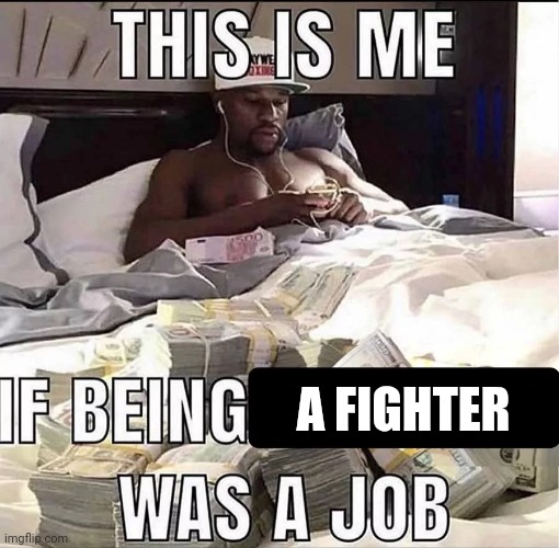 A fighter | A FIGHTER | image tagged in this is me if being x was a job,fight,fighter,memes,job,fighting | made w/ Imgflip meme maker