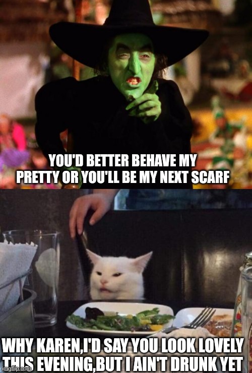 YOU'D BETTER BEHAVE MY PRETTY OR YOU'LL BE MY NEXT SCARF; WHY KAREN,I'D SAY YOU LOOK LOVELY THIS EVENING,BUT I AIN'T DRUNK YET | image tagged in wicked witch,salad cat | made w/ Imgflip meme maker