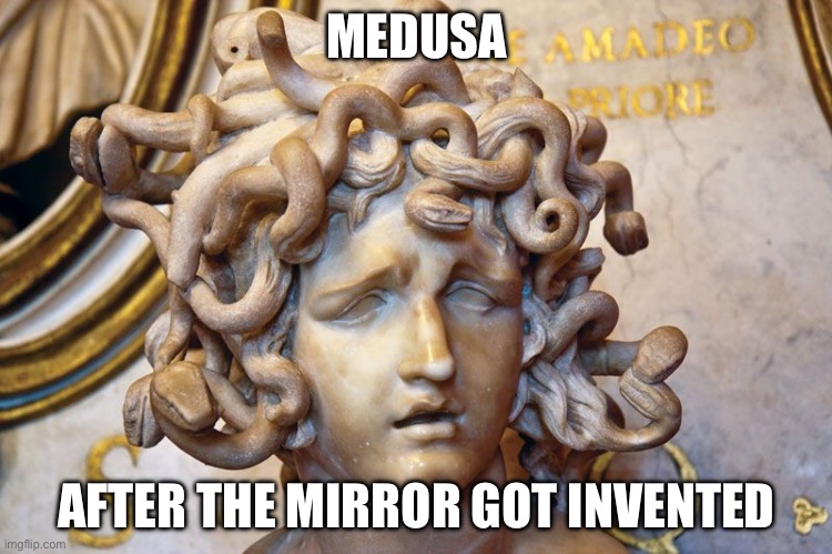 Medusa | MEDUSA; AFTER THE MIRROR GOT INVENTED | image tagged in history,medusa,snake,stoned | made w/ Imgflip meme maker