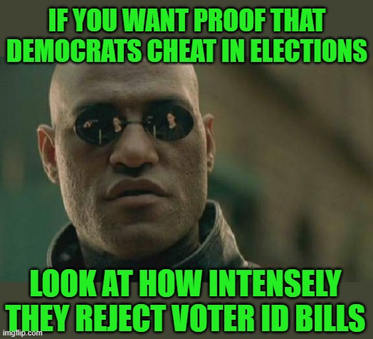 Matrix Morpheus | IF YOU WANT PROOF THAT DEMOCRATS CHEAT IN ELECTIONS; LOOK AT HOW INTENSELY THEY REJECT VOTER ID BILLS | image tagged in memes,matrix morpheus | made w/ Imgflip meme maker