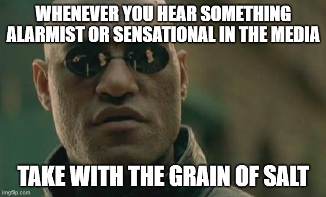 Chances are, it is made up to stir emotions and mislead | WHENEVER YOU HEAR SOMETHING ALARMIST OR SENSATIONAL IN THE MEDIA; TAKE WITH THE GRAIN OF SALT | image tagged in memes,matrix morpheus | made w/ Imgflip meme maker