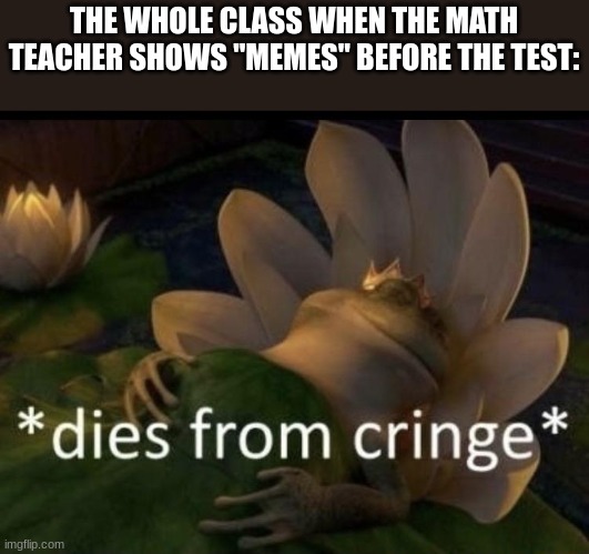 Real | THE WHOLE CLASS WHEN THE MATH TEACHER SHOWS "MEMES" BEFORE THE TEST: | image tagged in dies from cringe,school,cringe | made w/ Imgflip meme maker