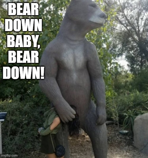 Bear Down | BEAR DOWN BABY, BEAR DOWN! | image tagged in adult humor | made w/ Imgflip meme maker