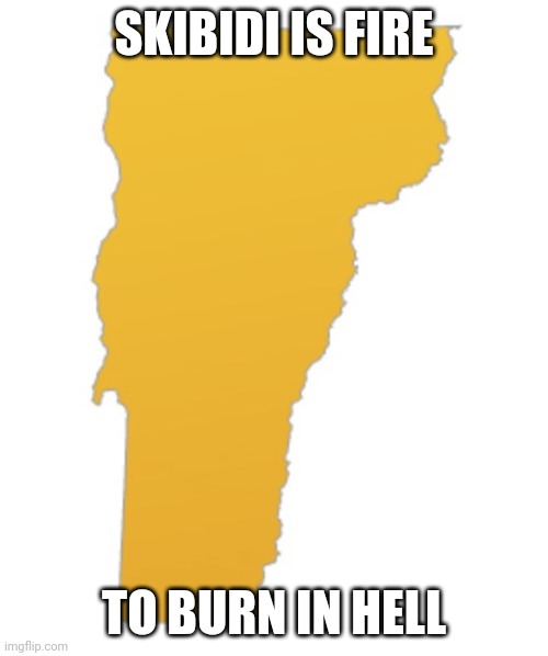 Vermont | SKIBIDI IS FIRE; TO BURN IN HELL | image tagged in vermont | made w/ Imgflip meme maker
