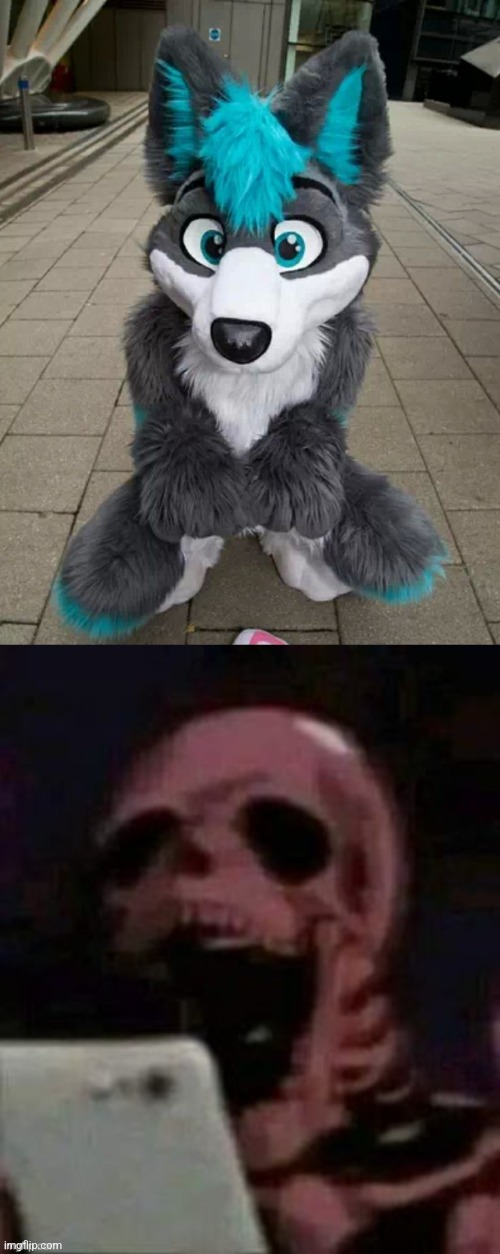 image tagged in furry,skeleton phone reaction | made w/ Imgflip meme maker