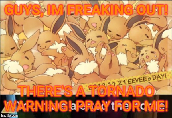 I hope I'll be okay... | GUYS, IM FREAKING OUT! THERE'S A TORNADO WARNING! PRAY FOR ME! | image tagged in the_non-popular_eevee announcement template | made w/ Imgflip meme maker