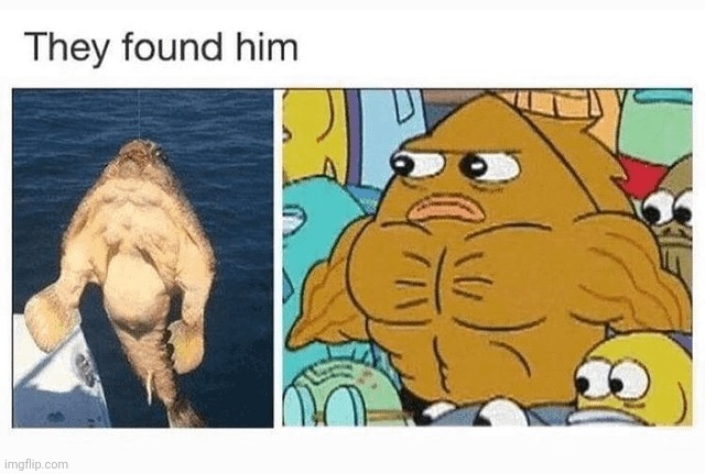 Fish lookalike | image tagged in fish,fishes,memes,repost,reposts,found | made w/ Imgflip meme maker