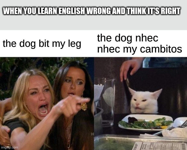 Woman Yelling At Cat | WHEN YOU LEARN ENGLISH WRONG AND THINK IT'S RIGHT; the dog bit my leg; the dog nhec nhec my cambitos | image tagged in memes,woman yelling at cat | made w/ Imgflip meme maker