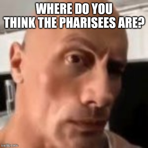 WHERE DO YOU THINK THE PHARISEES ARE? | image tagged in rock raising eyebrow | made w/ Imgflip meme maker