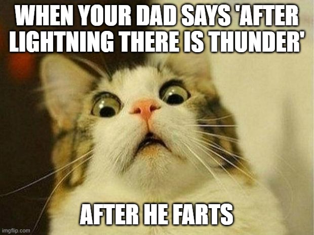 Scared Cat | WHEN YOUR DAD SAYS 'AFTER LIGHTNING THERE IS THUNDER'; AFTER HE FARTS | image tagged in memes,scared cat | made w/ Imgflip meme maker
