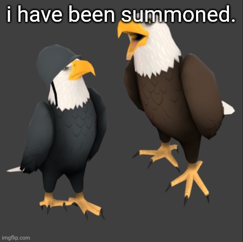 tf2 eagles | i have been summoned. | image tagged in tf2 eagles | made w/ Imgflip meme maker
