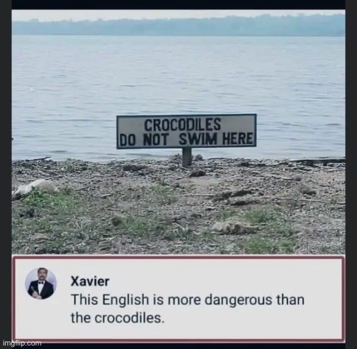 Crocodiles | image tagged in crocodile,swim,stupid signs | made w/ Imgflip meme maker