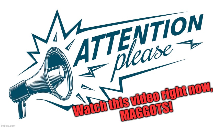 Must watch!!!! | Watch this video right now,
 MAGGOTS! | image tagged in attention please,team fortress 2,tf2,welcome to the internets,comedy genius | made w/ Imgflip meme maker