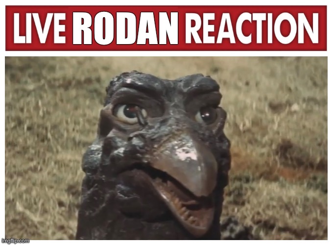 Rodan live reaction | RODAN | image tagged in live reaction | made w/ Imgflip meme maker