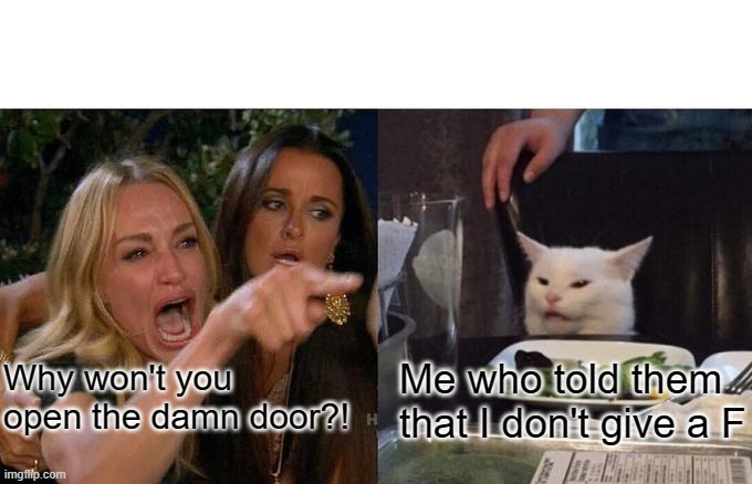 Woman Yelling At Cat | Why won't you open the damn door?! Me who told them that I don't give a F | image tagged in memes,woman yelling at cat | made w/ Imgflip meme maker