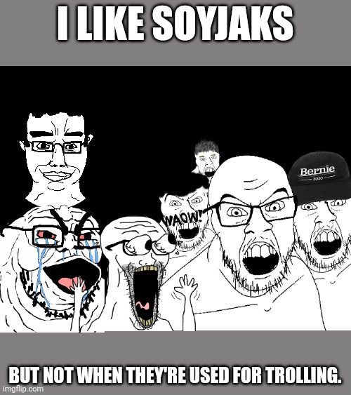 I hate those trans Soyjaks though, highly offensive and homophobic. | I LIKE SOYJAKS; BUT NOT WHEN THEY'RE USED FOR TROLLING. | made w/ Imgflip meme maker