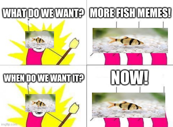 We also want fewer upvote beggers | WHAT DO WE WANT? MORE FISH MEMES! NOW! WHEN DO WE WANT IT? | image tagged in memes,what do we want | made w/ Imgflip meme maker