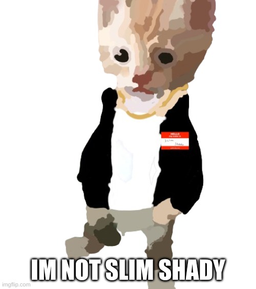 eminem cat | IM NOT SLIM SHADY | image tagged in eminem cat | made w/ Imgflip meme maker