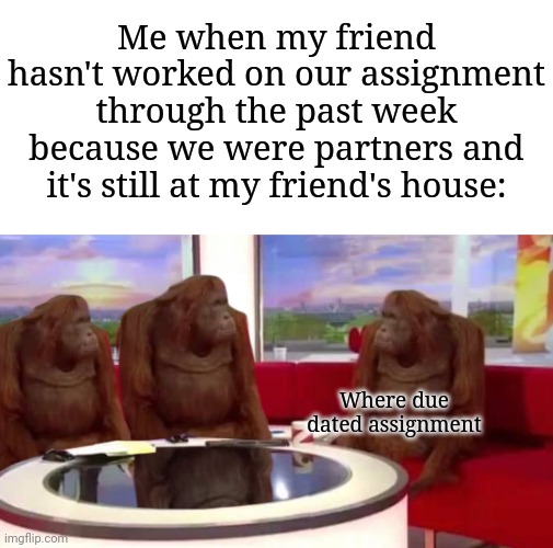 So true on many levels | Me when my friend hasn't worked on our assignment through the past week because we were partners and it's still at my friend's house:; Where due dated assignment | image tagged in where monkey,memes,funny,school | made w/ Imgflip meme maker
