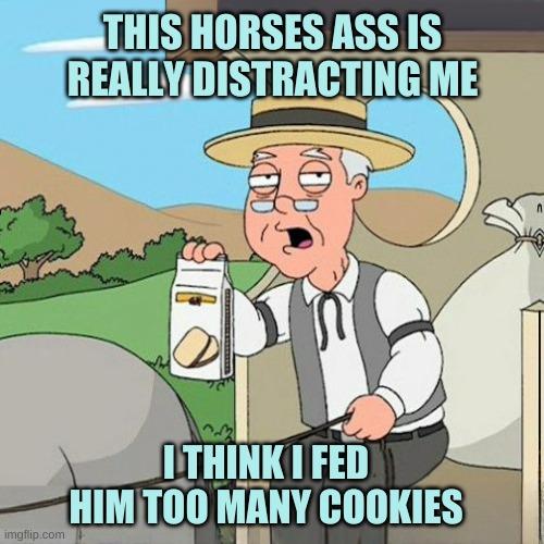 Pepperidge Full Screen | THIS HORSES ASS IS REALLY DISTRACTING ME; I THINK I FED HIM TOO MANY COOKIES | image tagged in pepperidge full screen,pepperidge farms remembers,horse,cookies,poop,smelly | made w/ Imgflip meme maker