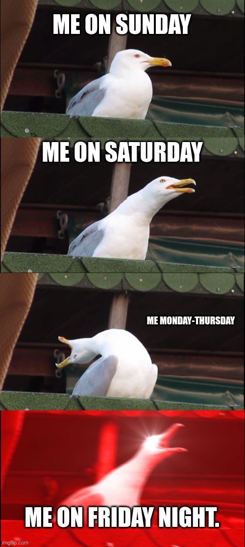 Inhaling Seagull | ME ON SUNDAY; ME ON SATURDAY; ME MONDAY-THURSDAY; ME ON FRIDAY NIGHT. | image tagged in memes,inhaling seagull | made w/ Imgflip meme maker