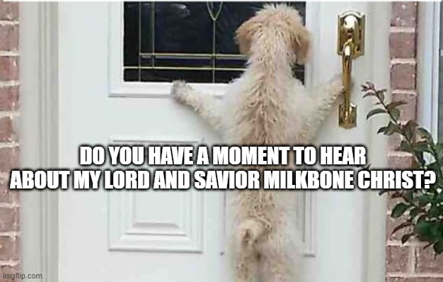 Dog at the Door | DO YOU HAVE A MOMENT TO HEAR ABOUT MY LORD AND SAVIOR MILKBONE CHRIST? | image tagged in dogs | made w/ Imgflip meme maker