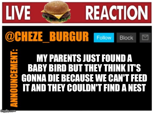 This makes me sad :'( | MY PARENTS JUST FOUND A BABY BIRD BUT THEY THINK IT'S GONNA DIE BECAUSE WE CAN'T FEED IT AND THEY COULDN'T FIND A NEST | image tagged in chezeburgur announcment | made w/ Imgflip meme maker