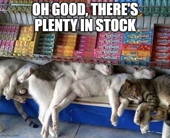 Cat Shelf | OH GOOD, THERE'S PLENTY IN STOCK | image tagged in cats | made w/ Imgflip meme maker