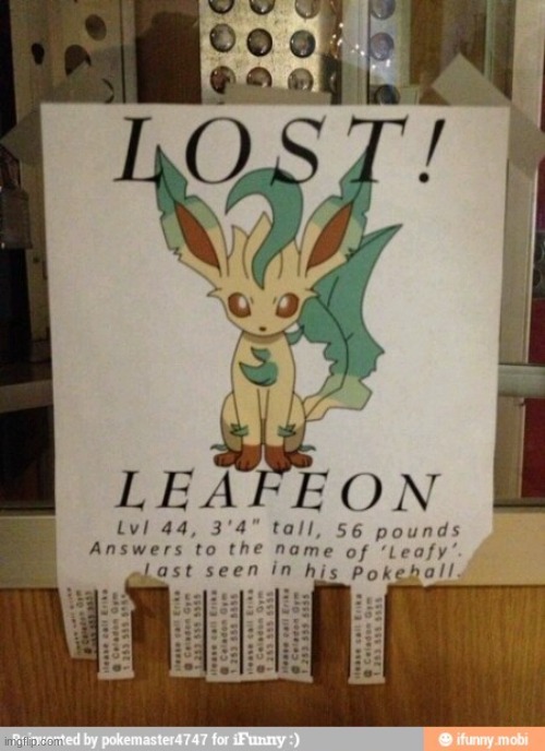 its lost!!!!1! | image tagged in meme | made w/ Imgflip meme maker