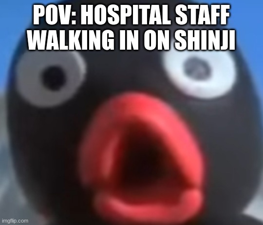the hospital scene | POV: HOSPITAL STAFF WALKING IN ON SHINJI | image tagged in pingu s dad pog face | made w/ Imgflip meme maker
