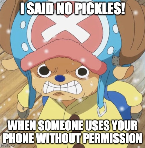 Angry Chopper | I SAID NO PICKLES! WHEN SOMEONE USES YOUR PHONE WITHOUT PERMISSION | image tagged in angry chopper | made w/ Imgflip meme maker