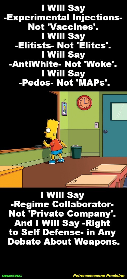 Extreeeeeeeeme Precision | image tagged in bart simpson chalkboard,memes,liberal logic,government corruption,invasion of the mind snatchers,clown world | made w/ Imgflip meme maker