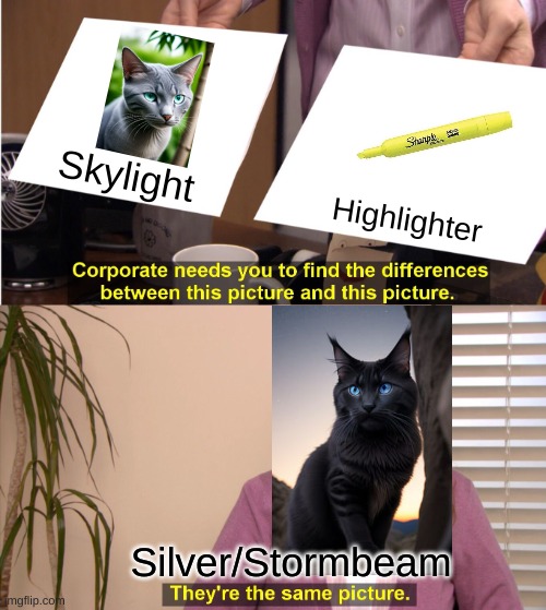 They're The Same Picture | Skylight; Highlighter; Silver/Stormbeam | image tagged in memes,they're the same picture | made w/ Imgflip meme maker
