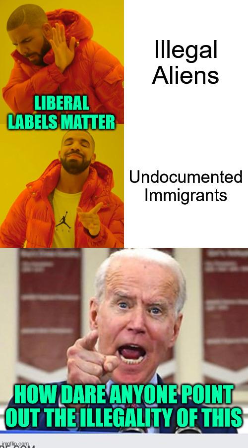 They want you to ignore the crimes they are allowing to be committed | Illegal Aliens; LIBERAL LABELS MATTER; Undocumented Immigrants; HOW DARE ANYONE POINT OUT THE ILLEGALITY OF THIS | image tagged in memes,drake hotline bling,joe biden no malarkey,liberal labels matter,ignore the crimes being committed | made w/ Imgflip meme maker